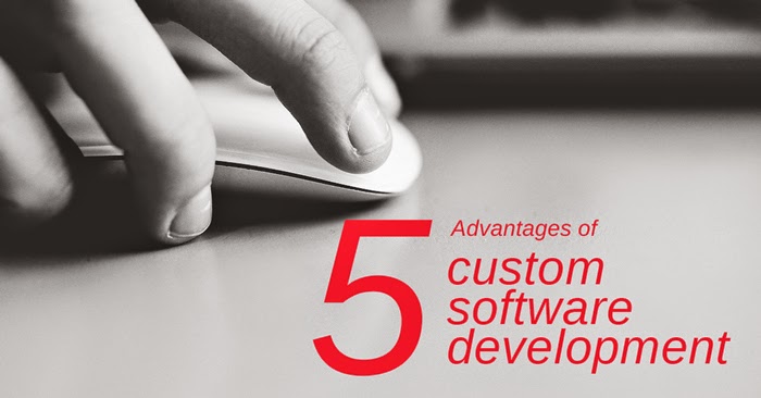 5 Advantages of Custom Software Development